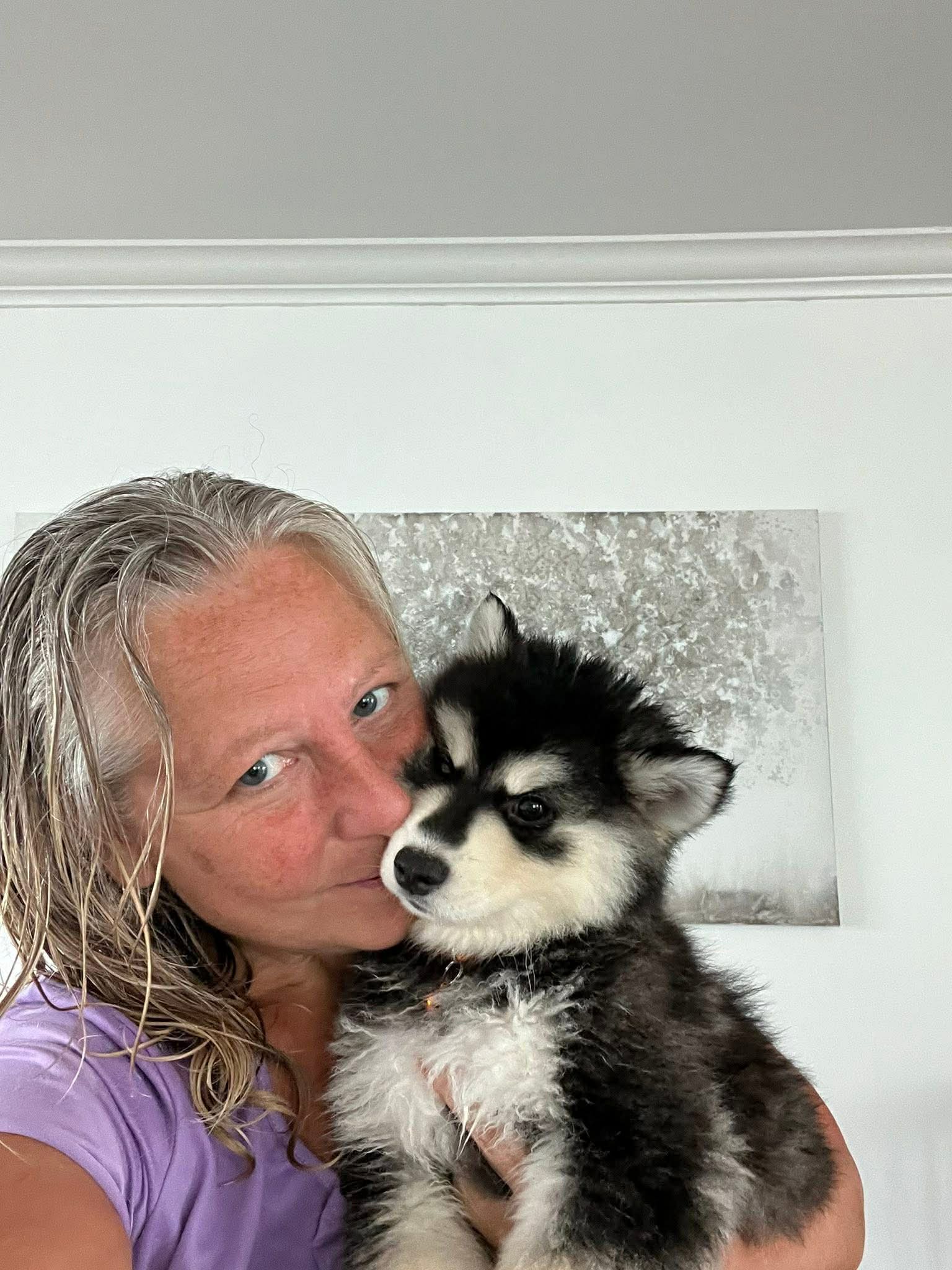 Pomsky